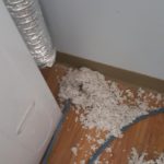 Some of the lint removed from a vertical dryer vent