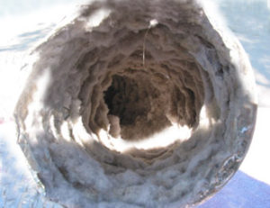 Lint collected in a flexible dryer vent duct