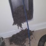 Two years of dryer vent lint