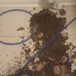 Dirt from dryer vent duct routed underground - closeup.
